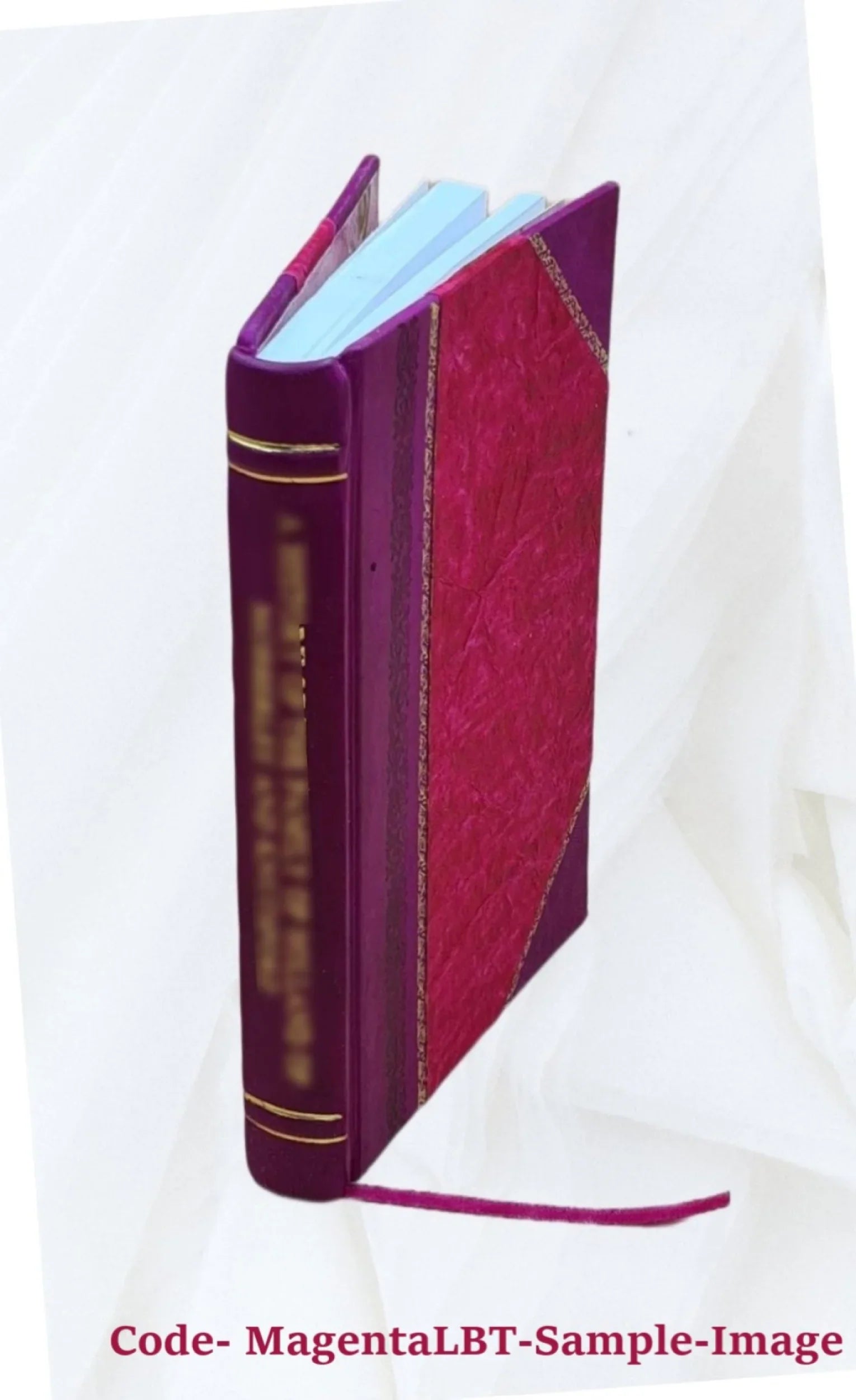 Der Hypnotismus: Seine Bedeutung und seine Handlung: in kurzgefasster ... 1889 [Leather Bound]