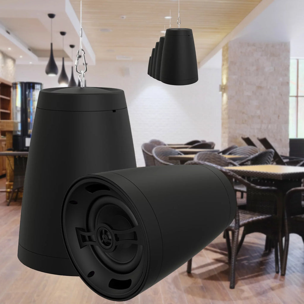 Nero Arc 8 8" 2 Way Coaxial Pendant Style Speaker, 8Ohm/70V, Black