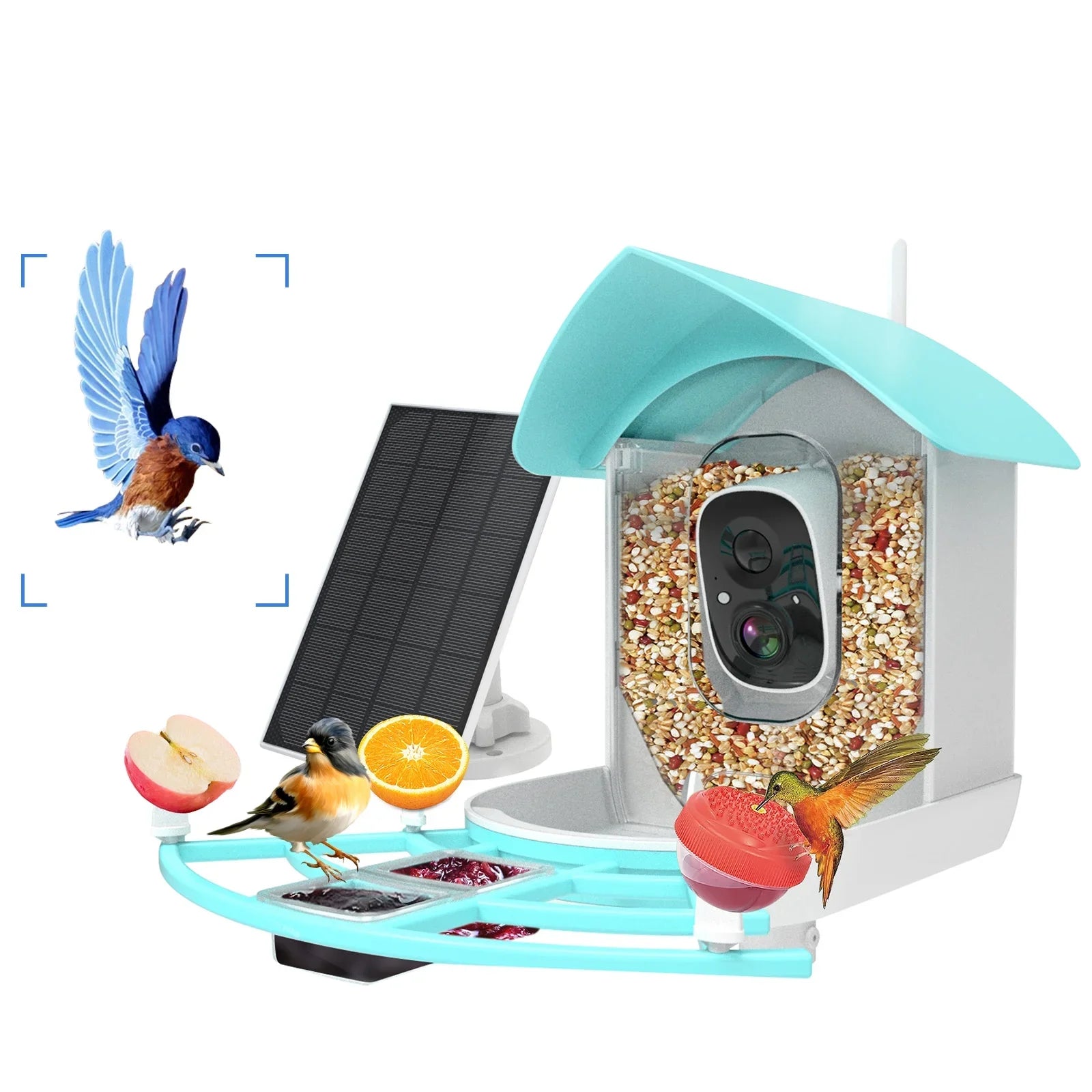 Andoer Surveillance camera,Feeder With Camera Wifi Wireless Pir Ai Camera Smart Feeder With Solar Powered Camera Squirrel Deterrent Feeder CameraVideo Vico AppAi 1080p Camera Ai Species