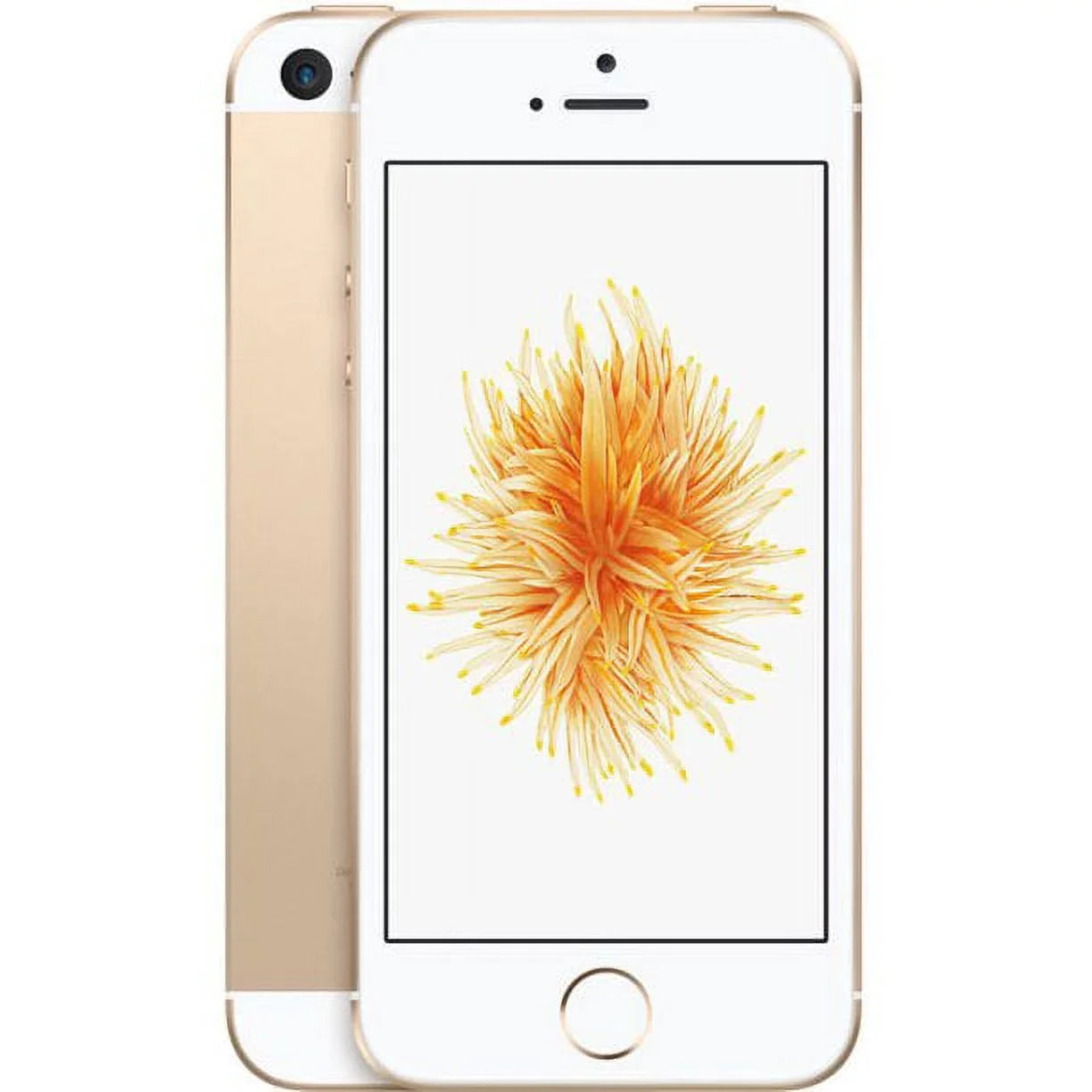 Pre-Owned Apple iPhone  - Carrier Unlocked - 16GB Gold (Like New)