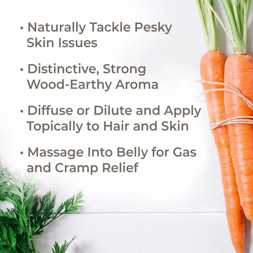 Plant Therapy Carrot Seed Essential Oil 30 mL (1 fl. oz.) 100% Pure, Undiluted, Therapeutic Grade