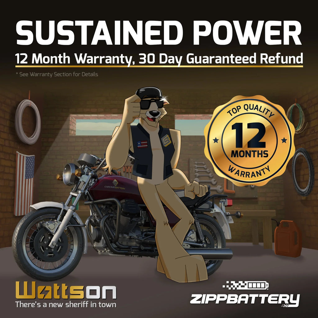 Zipp Battery Ytx30L-Bs Battery for Brp (Sea-Doo) 1500 Rxp 2007