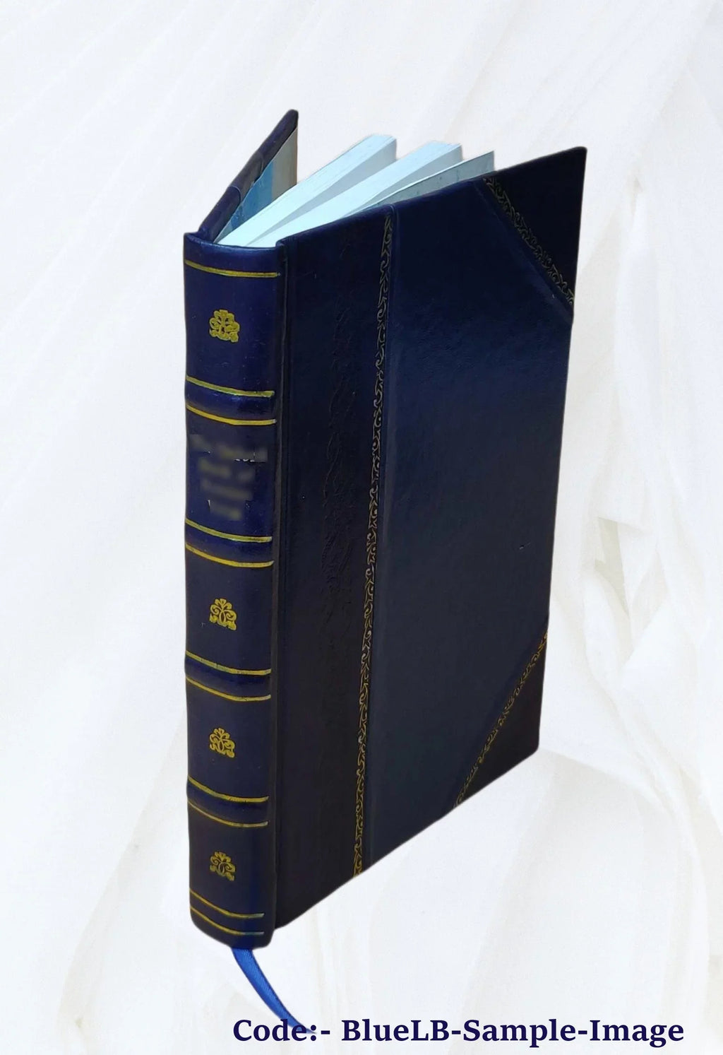Festschrift zur feier des 75 jährigen bestehens der schule am 28. mai, 1913. 1913 [Leather Bound]