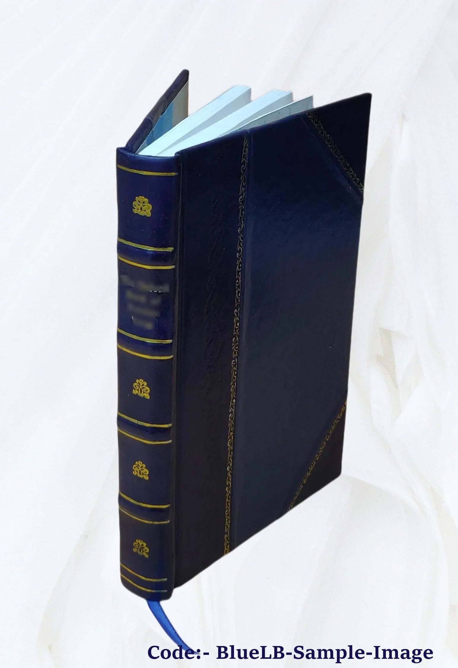 Festschrift zur feier des 75 jährigen bestehens der schule am 28. mai, 1913. 1913 [Leather Bound]