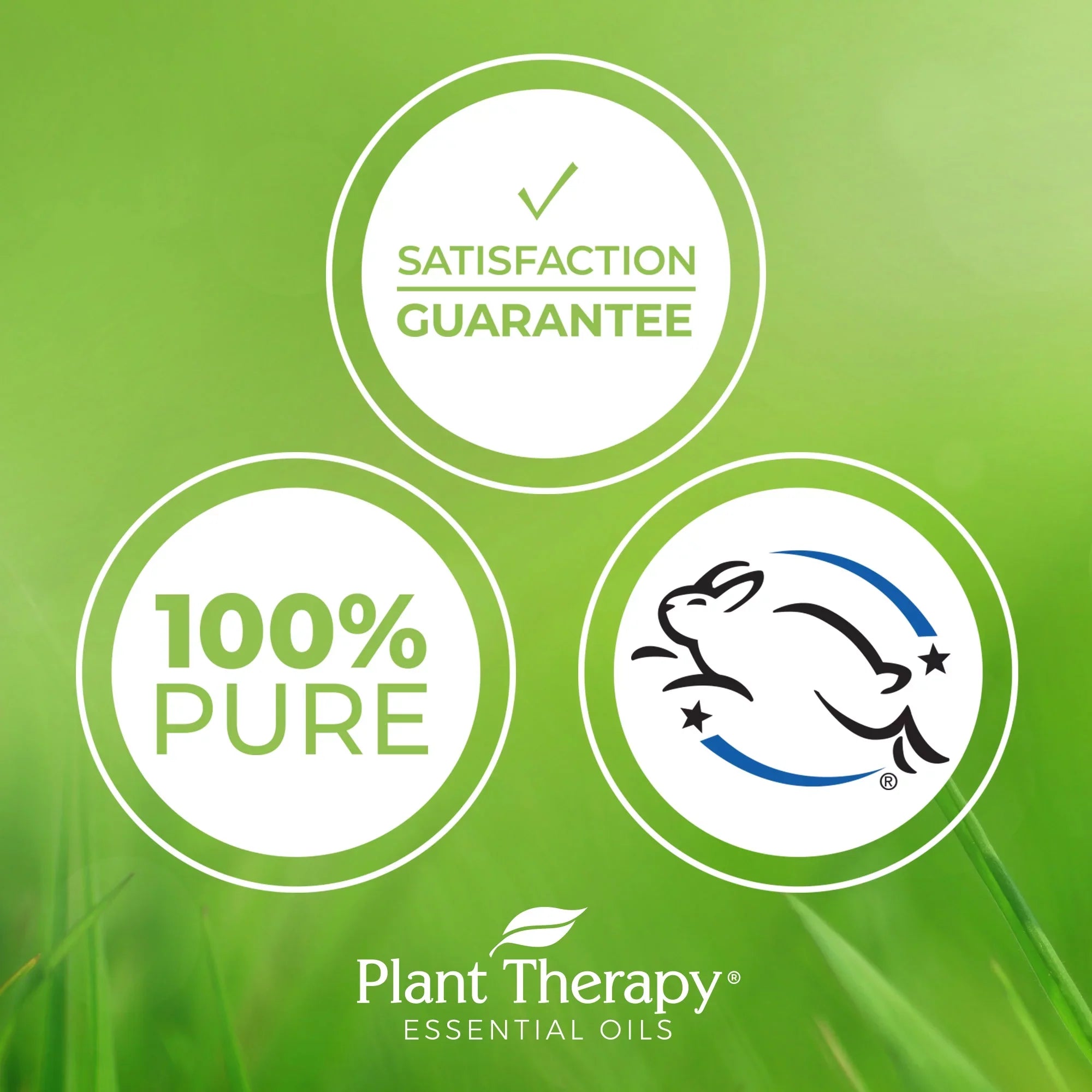 Plant Therapy Carrot Seed Essential Oil 30 mL (1 fl. oz.) 100% Pure, Undiluted, Therapeutic Grade