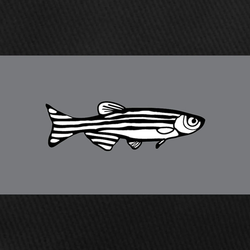 CafePress - Zebrafish Black Cap - Printed Adjustable Cotton Canvas Black Baseball Hat