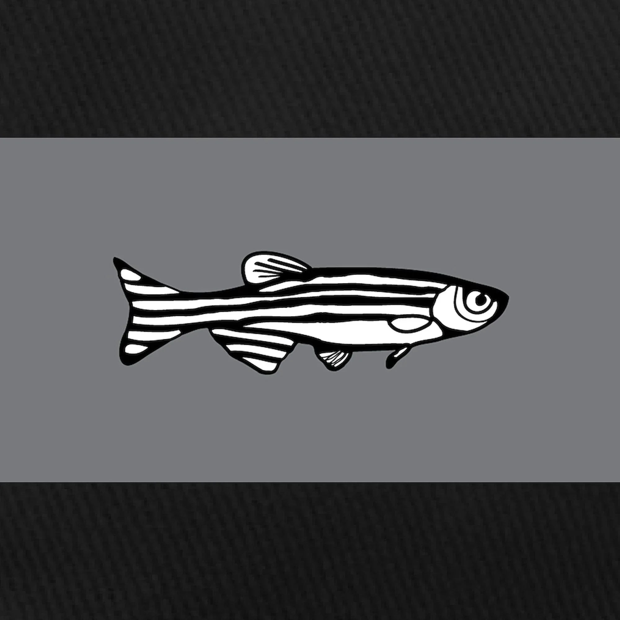 CafePress - Zebrafish Black Cap - Printed Adjustable Cotton Canvas Black Baseball Hat