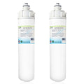 Swift Green Filters -96-43  Compatible Commercial Water Filter for EV9607-56, (Pack of 2)