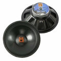 15" Replacement Driver Woofer For Yamaha BR15 Speaker