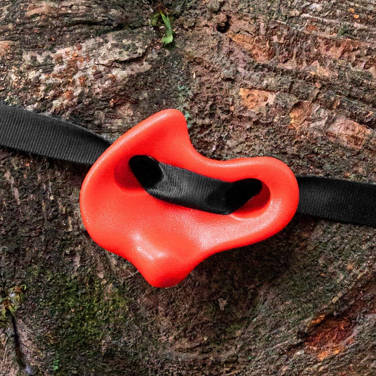 Brizi Living 18 Tree Climbing Holds and 6 Sturdy Ratchet Straps for Kids Tree Climbing, Large Climbing Rocks for Outdoor Warrior Obstacle Course Training