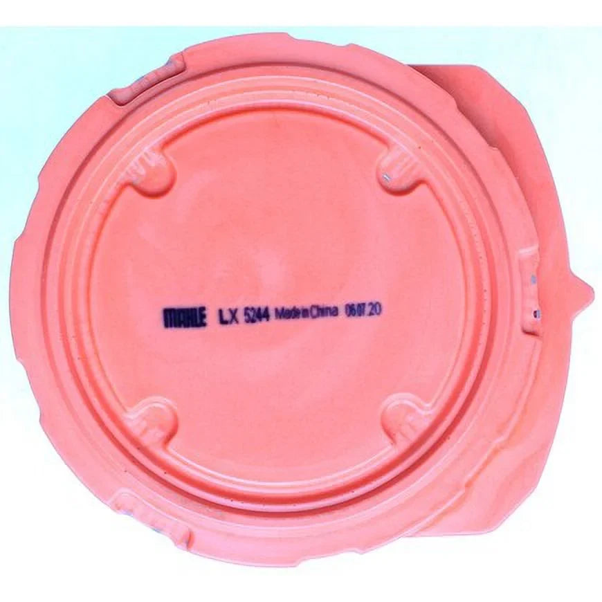 5244 Air Filter