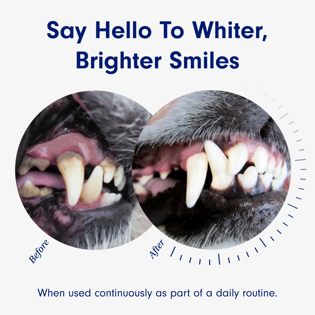 PetLab Co. Dog Water Additive For Dental Care & Fresh Breath 8 fl oz.