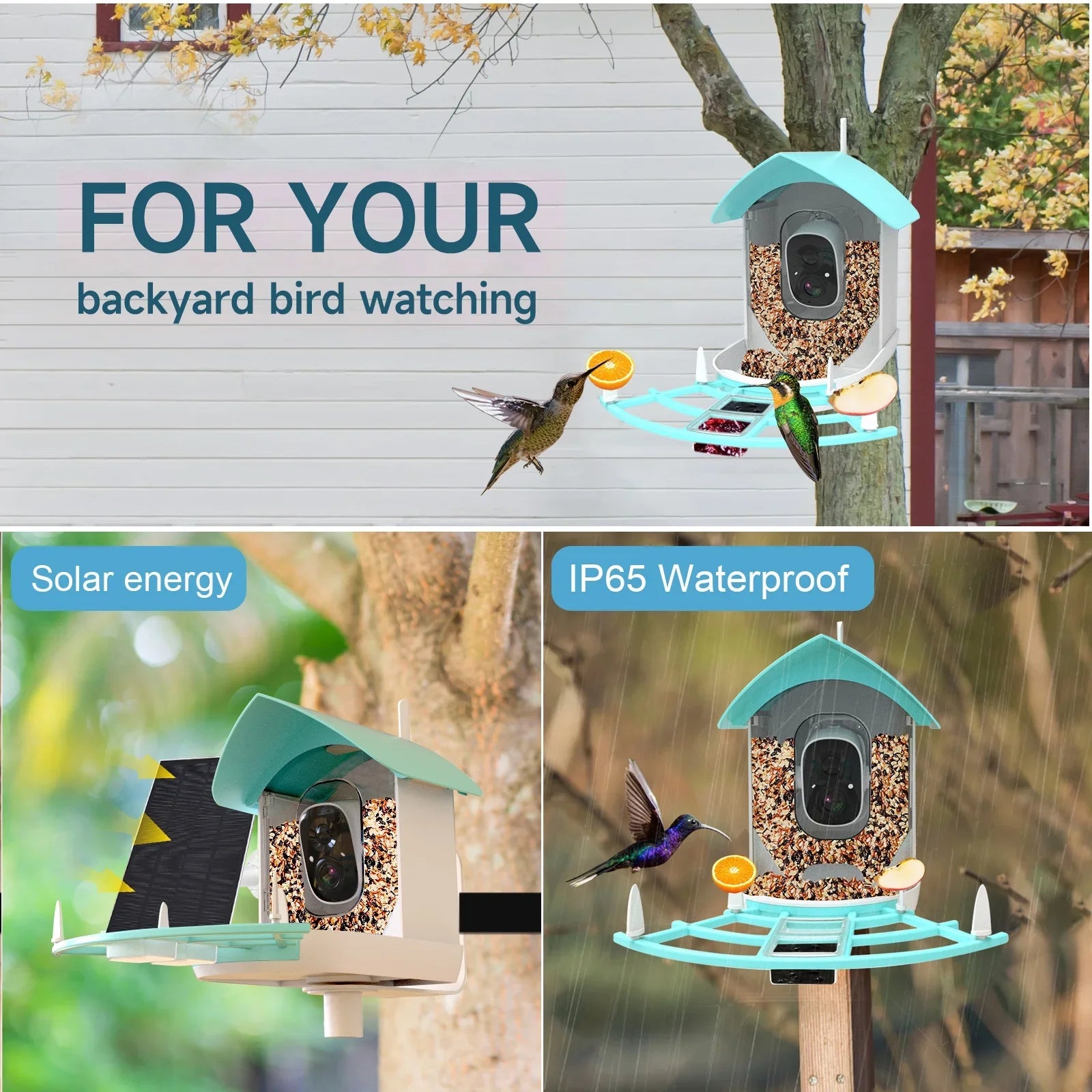 Andoer Surveillance camera,Feeder With Camera Wifi Wireless Pir Ai Camera Smart Feeder With Solar Powered Camera Squirrel Deterrent Feeder CameraVideo Vico AppAi 1080p Camera Ai Species