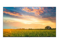 50UR577H9UA - 50" Diagonal Class UR577H9 Series -backlit   - hotel / hospitality - Pro:Centric with Integrated Pro:Idiom - Smart  - webOS - 4K  (2160p) 3840 x 2160 -  - Nano Cell Display, Edge