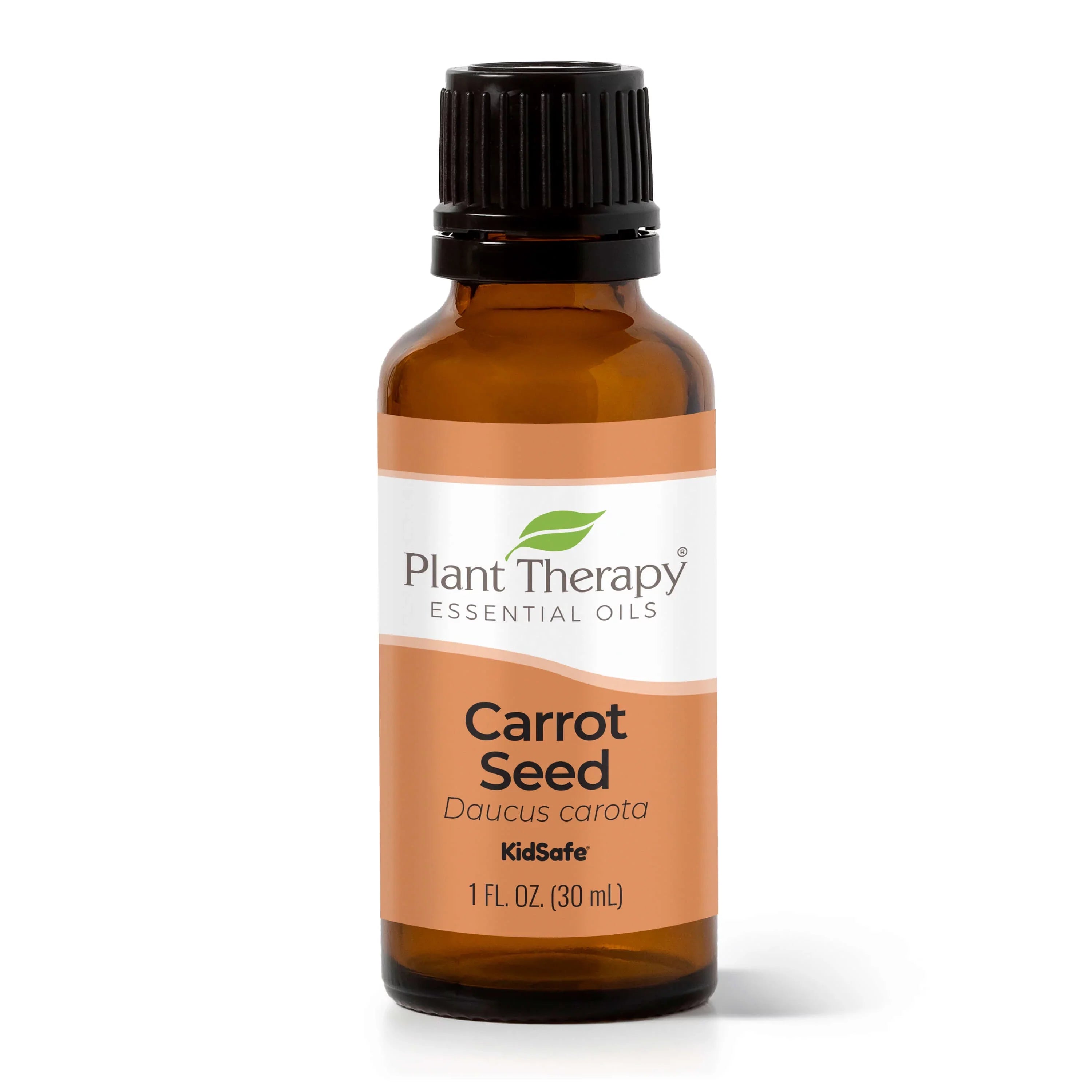 Plant Therapy Carrot Seed Essential Oil 30 mL (1 fl. oz.) 100% Pure, Undiluted, Therapeutic Grade
