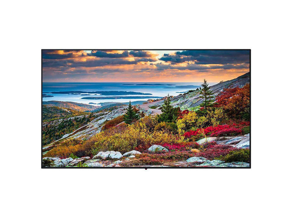 Panasonic -65CQE1WA 65-Inch Widescreen 4K Ultra  Monitor - 3840 x 2160 - 16:9 - 5000:1 - 8 ms - 400 cd/m2 - Wi-Fi - Ethernet -  - Black