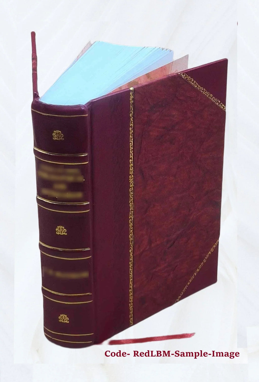 Der holz- und steinbau Westfalens in seiner culturgeschichtlichen und systematischen entwickelung. Nach den quellen und erhaltenen monumenten dargestellt von Dr. J.B. Nordhoff. 187
