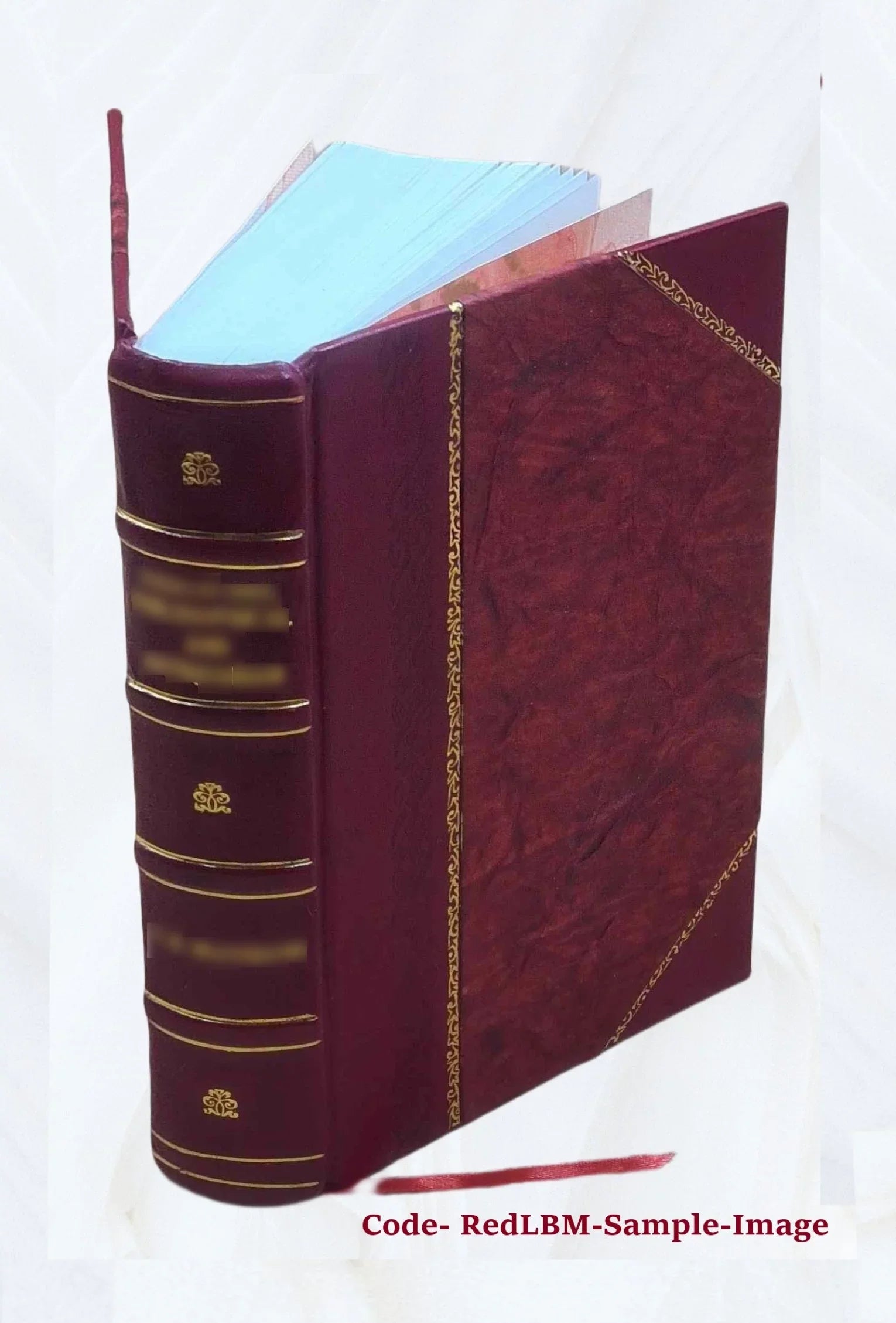 James Bridger, trapper, frontiersman, scout and guide; a historical narrative ... 1925 [Leather Bound]