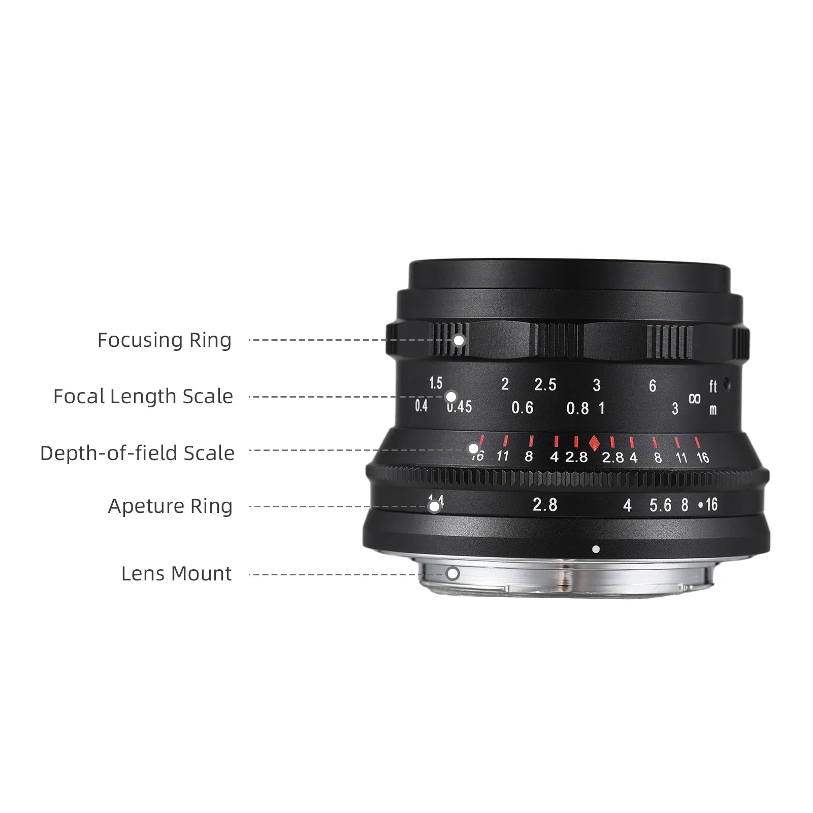 Dcenta Full Frame Camera Lens with Large Aperture Manual Focus for Sony A7/A7II/A7R/A7RII/A7S/A7SII/A6500/A6300