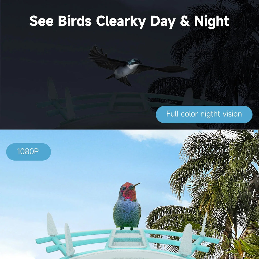 Andoer Surveillance camera,Feeder With Camera Wifi Wireless Pir Ai Camera Smart Feeder With Solar Powered Camera Squirrel Deterrent Feeder CameraVideo Vico AppAi 1080p Camera Ai Species