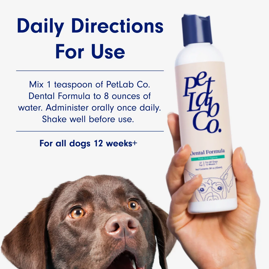PetLab Co. Dog Water Additive For Dental Care & Fresh Breath 8 fl oz.