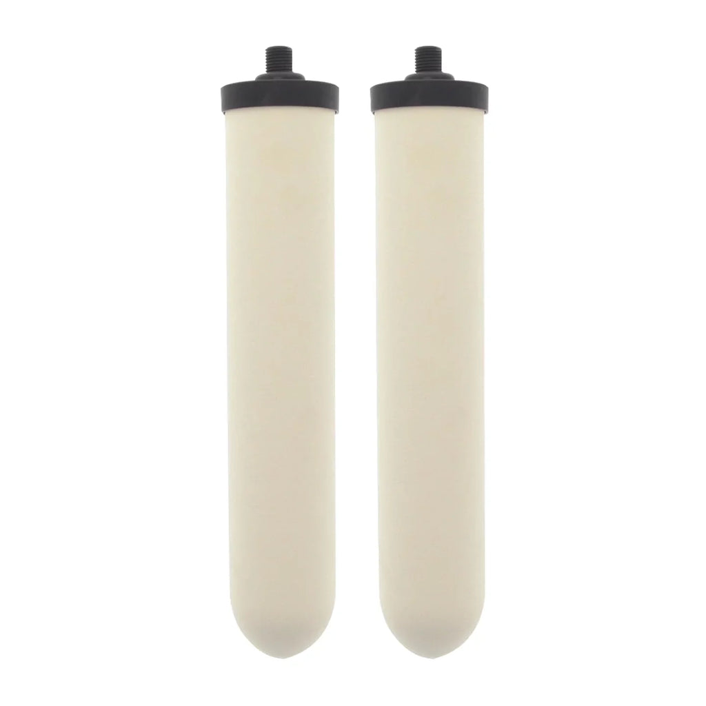 Doulton W9123053 UltraCarb 10 Inch Ceramic Candle Filter Cartridge (2 )