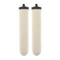 Doulton W9123053 UltraCarb 10 Inch Ceramic Candle Filter Cartridge (2 )
