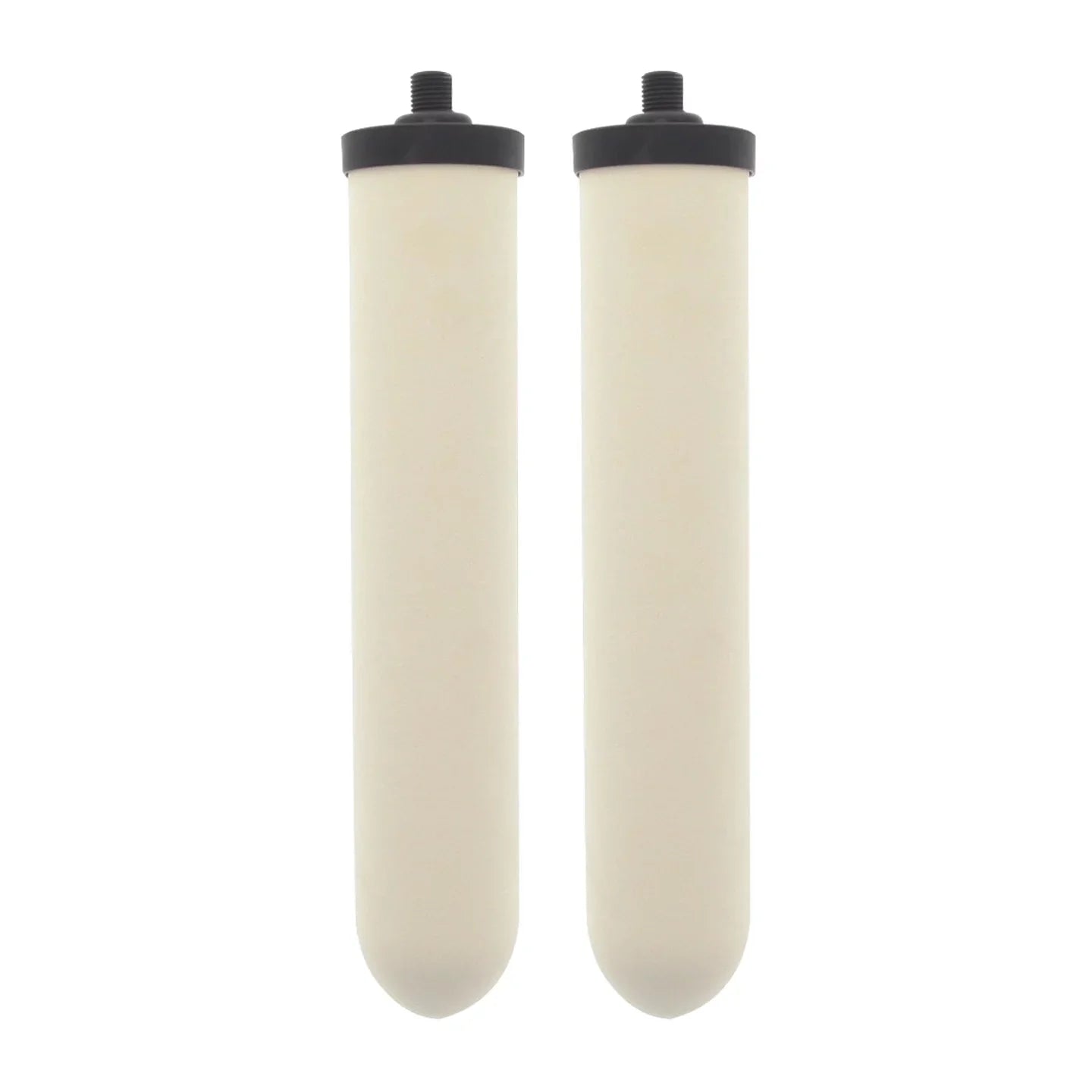 Doulton W9123053 UltraCarb 10 Inch Ceramic Candle Filter Cartridge (2 )