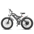 Hot Fat Tire Adults Electric Bicycle 26 In. Electric Mountain Bike
