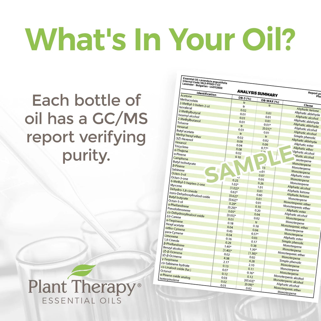 Plant Therapy Carrot Seed Essential Oil 30 mL (1 fl. oz.) 100% Pure, Undiluted, Therapeutic Grade
