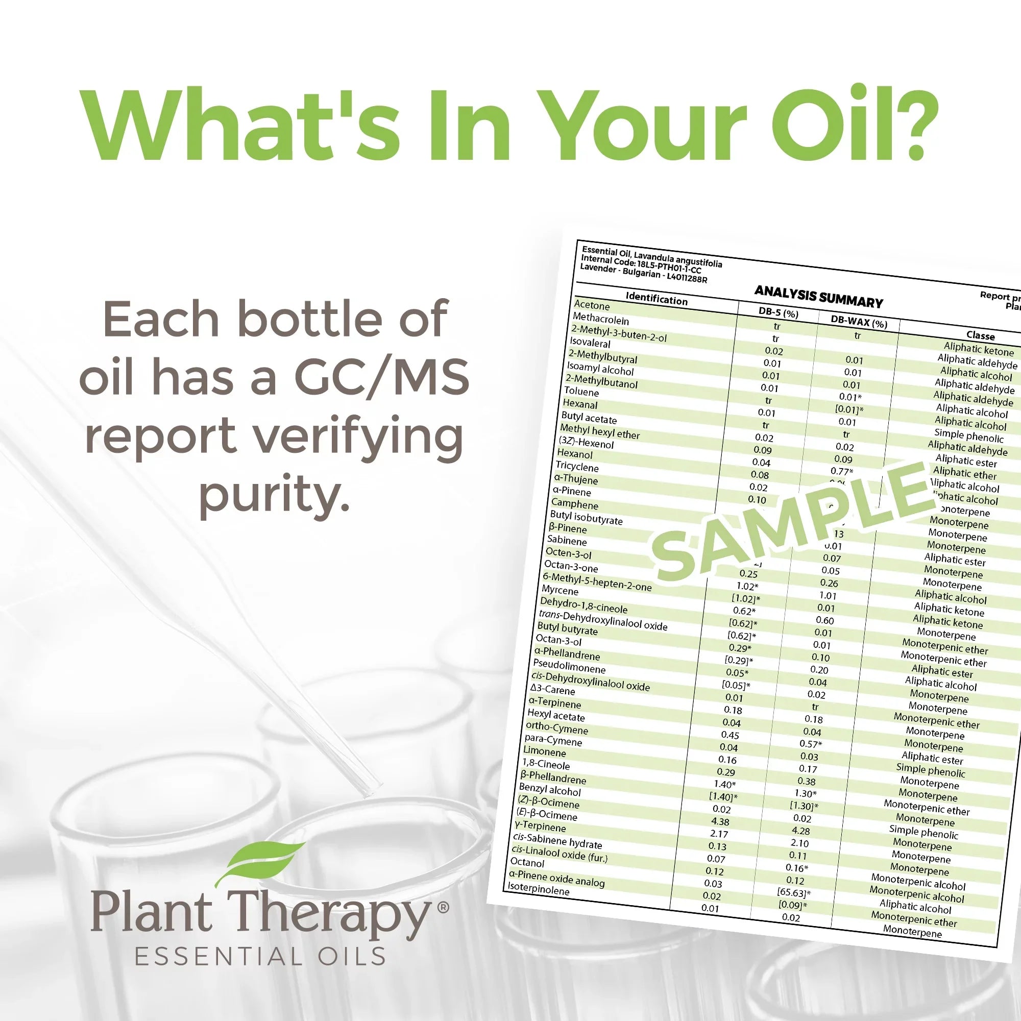 Plant Therapy Carrot Seed Essential Oil 30 mL (1 fl. oz.) 100% Pure, Undiluted, Therapeutic Grade