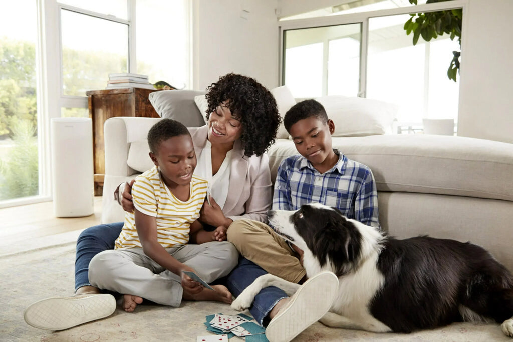 Filtrete by 3M, 20x24x1,  12, Advanced Allergen Reduction  Furnace Air Filter, Captures Allergens, Bacteria, Viruses, 1500 , 4 Filters