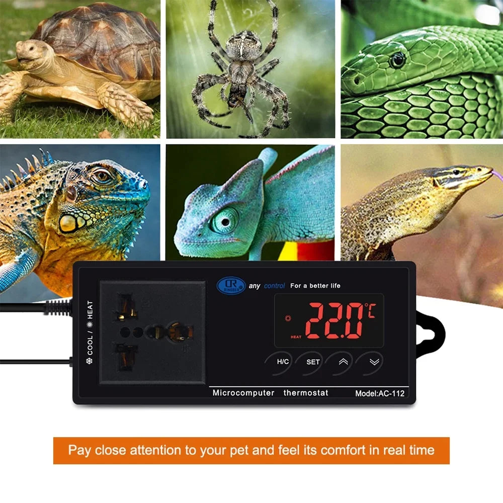 Lepmerk Digital Temperature Controller Thermostat Outlet Reptile Thermostat Controlled with Heating & Cooling Mode for Chest Freezer Home Brewing Green House Incubation Reptiles -40℃~110℃ Plug